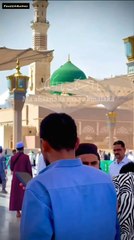 InShot_20250417_203946188