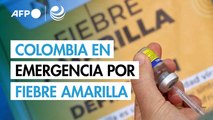 Colombia declara estado de emergencia por la fiebre amarilla
