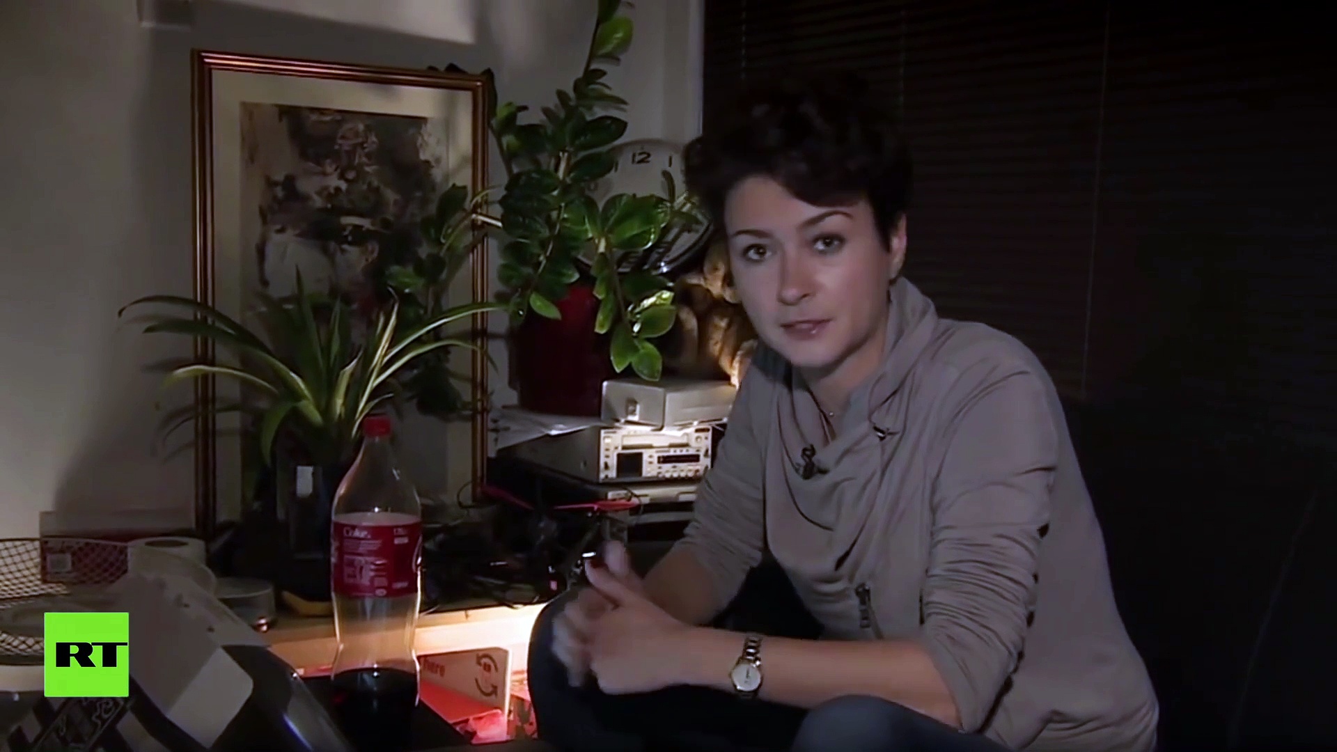 Bellingcat. Truth In A Post-Truth World