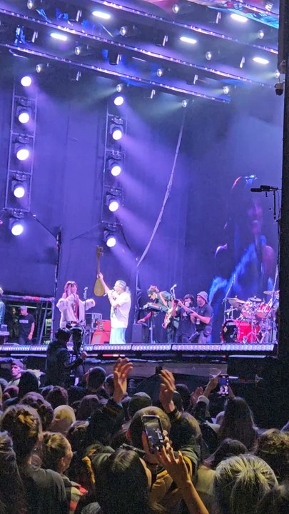 Qué pasó con El Mono de Kapanga en el escenario del Rock En Baradero