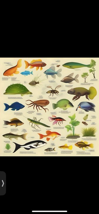 (15) Degeneration vs. Evolution