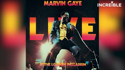 15 Plagios Musicales