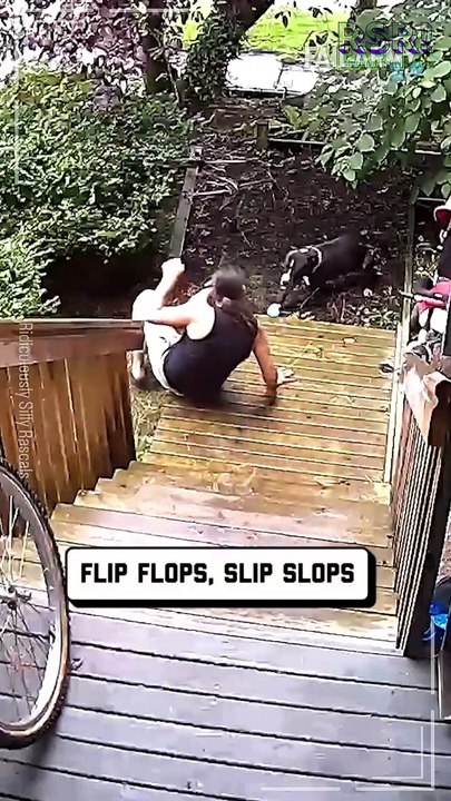The animal funny short video