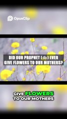 The Sunnah of Romance: Small Gestures That Make Wives Feel Cherished (Like the Prophet ﷺ Did!)