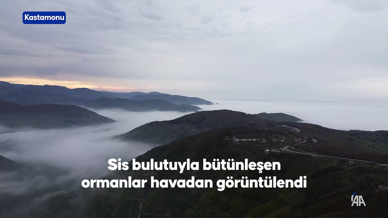 Sis bulutuyla bütünleşen ormanlar havadan görüntülendi