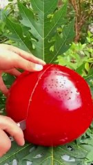 watermelon cutting | fruit cutting