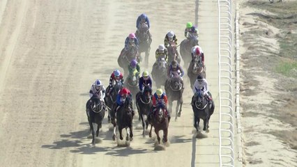 '장거리 최고 명마는?'…24회 YTN 경마대회 / YTN