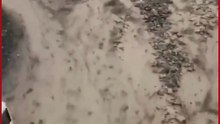Heavy Rains Trigger Deadly Landslide in J&K's Ramban; 2–3 Dead, 20+ Houses Destroyed, 100+ Rescued
