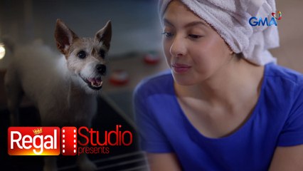 Regal Studio Presents: Fur-mom, sinusunod ang utos ng kanyang fur-baby?! (Talking Ted)