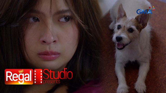 Regal Studio Presents: Fur-mom na na-TOTGA, ipapaampon na ang alaga! (Talking Ted)