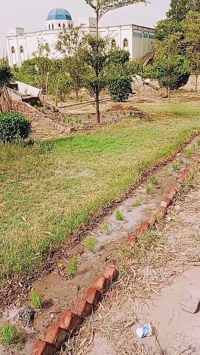 GARDENING Viedo 2