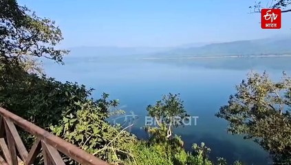 कॉर्बेट टाइगर रिजर्व की 'लाइफ लाइन' है रामगंगा नदी, पारिस्थितिक तंत्र में निभाती है अहम भूमिका