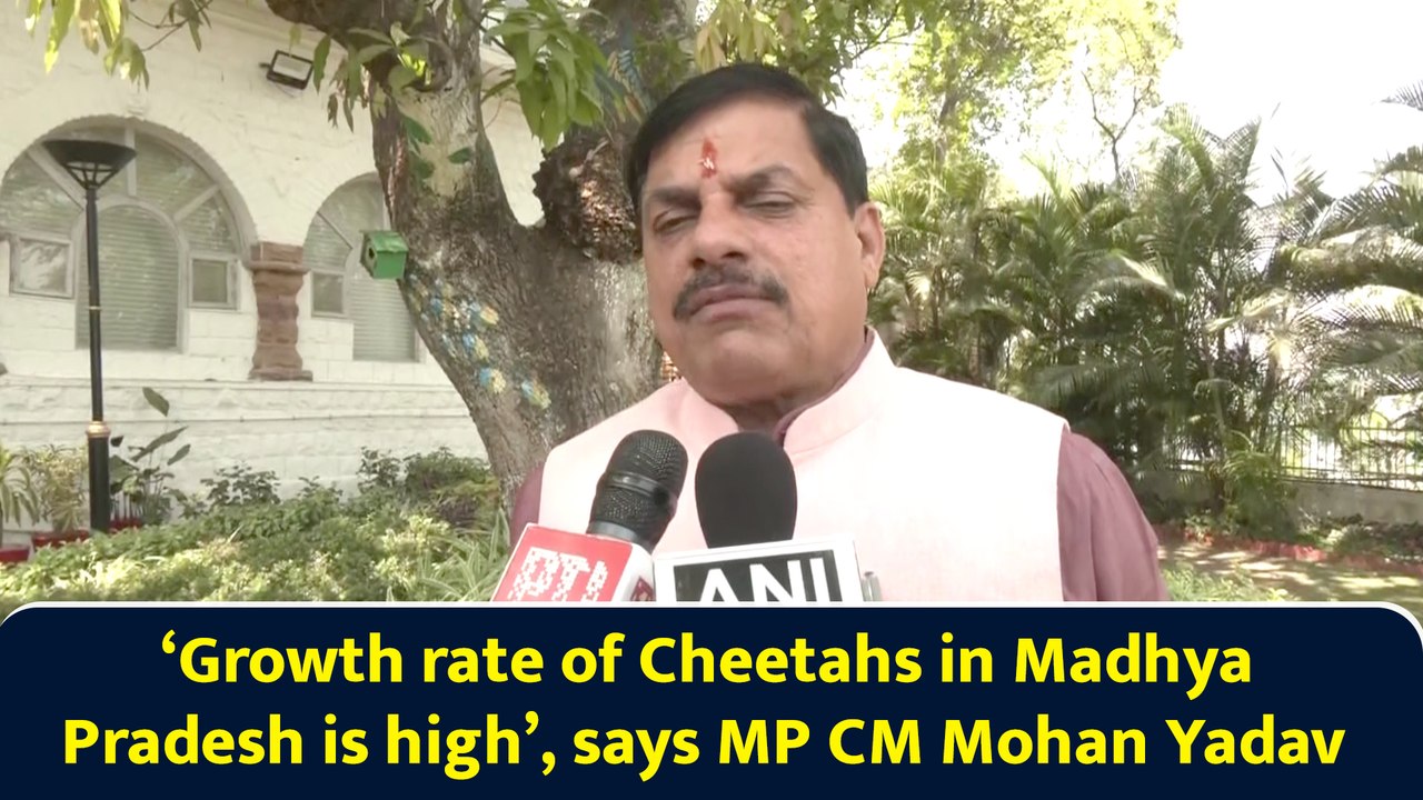 ‘Growth rate of Cheetahs in Madhya Pradesh is high’, says MP CM Mohan Yadav