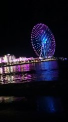 Education, entertainment,  lifestyle