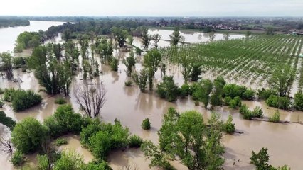 Cremona, la piena del Po: le immagini dal drone