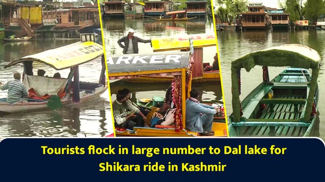 Tourists flock in large number to Dal lake for Shikara ride in Kashmir