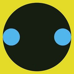 014 - The beguiling beauty of endless motion