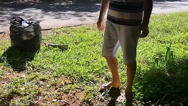 Lago Municipal de Cascavel: paraíso natural está ameaçado por lixo e queima ilegal de fios