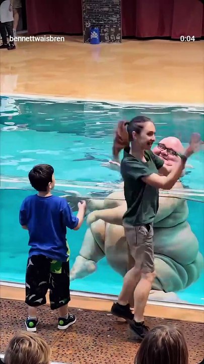 Funny Videos