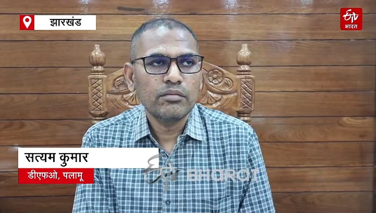 पलामू में 2.36 वर्ग किमी बढ़ा जंगल, घने फॉरेस्ट में हुई कमी, जानें झारखंड में वनों की स्थिति