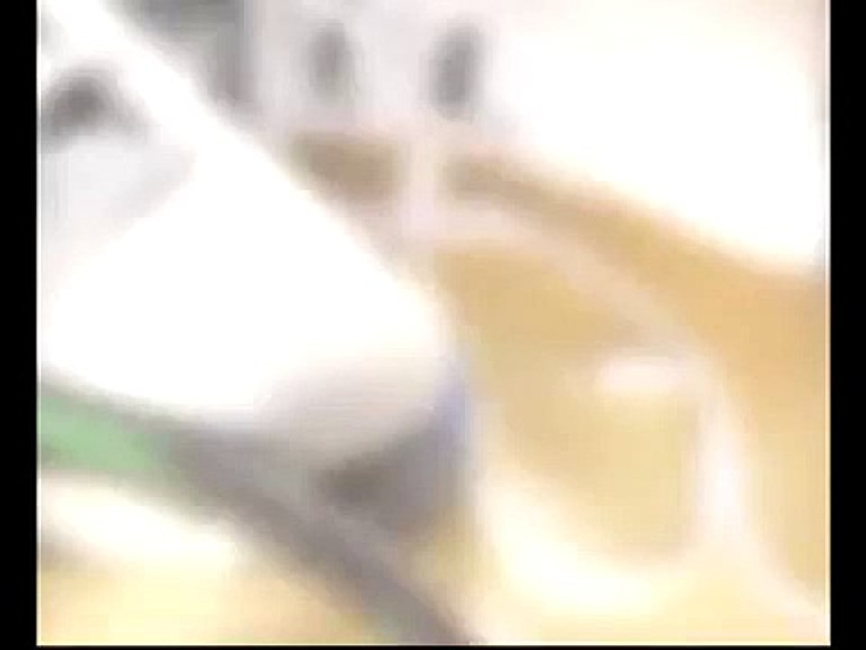 TARKETT ZEMİN KAPLAMA LİNOLYUM ZEMİN KAPLAMA ENSAR İNŞAAT & ZEMİN KAPLAMALARI