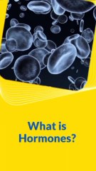 InShot_20250411_201243934