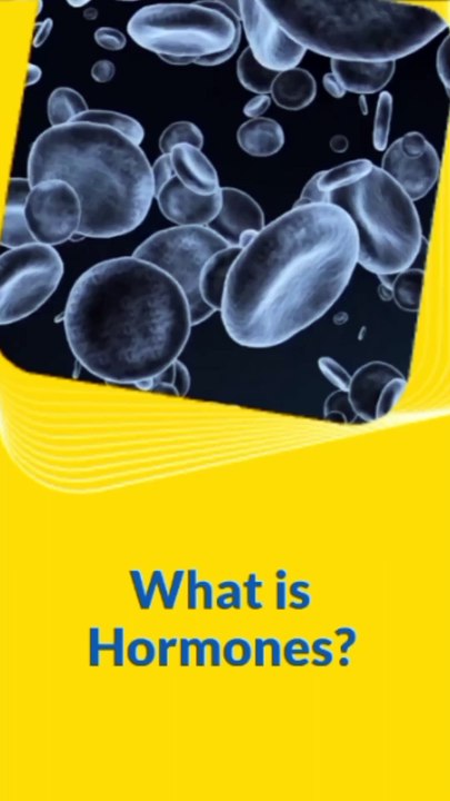 InShot_20250411_201243934