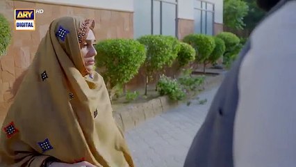 Naqaab EP 34 Ali_Ansari Humayoun_Ashraf___Hina_Tariq___Ghana_Ali___20_April_2025___ARY_Digital(360p)