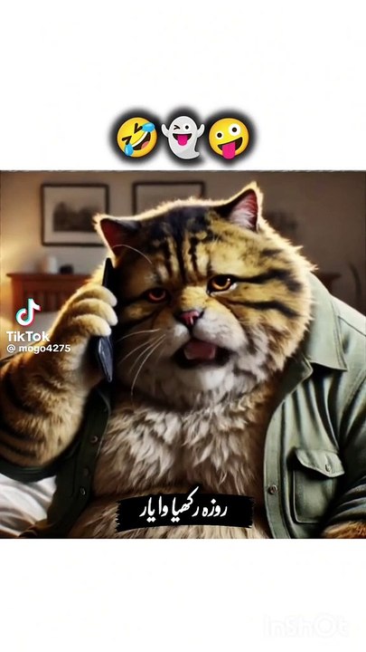 Catoooooo
