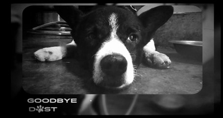 Goodbye Dost (Official Video) | Rudraksh ASV | Friendship Song 2025 | Hindi Song