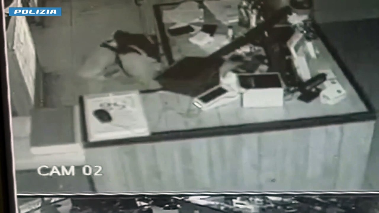 Verona, furti negli esercizi commerciali: la Polizia di Stato arresta il “ladro gattonatore” (20.04.25)