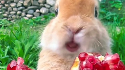 Ostermontag: Bedeutung, Ursprung und Feierlichkeiten ✝️