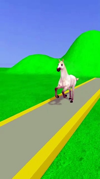 How_One_Horse_Transforms_To_Five_Colorful_Horses_🐎