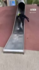 Sagawa1gou funny video 😂😂😂 _ SAGAWA Best TikTok 2025 #shorts