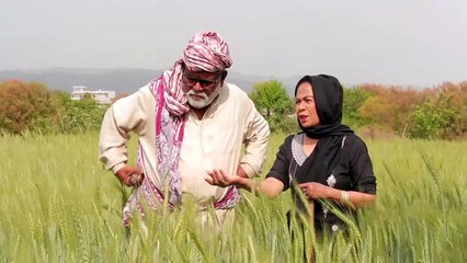 Toba Dada Shero ko ho kia gaya hi?