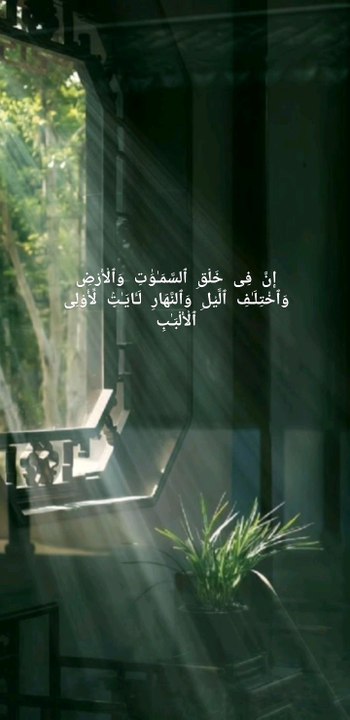 beautiful quran recitation surah alimran must listen