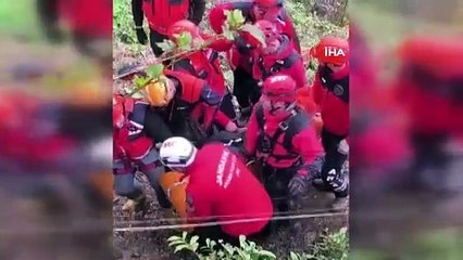 Üzerine ağaç devrilen adam hayatını kaybetti