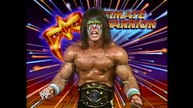 WWE - The Self Destruction of the Ultimate Warrior