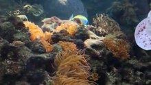 🐘 Découvrez avec nous le monde fascinant