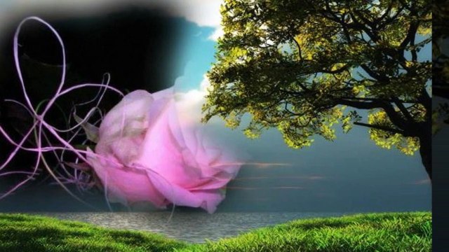 Göksel Baktagir ♪♪♪ Hatıra Defteri