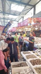 Port Said fish market