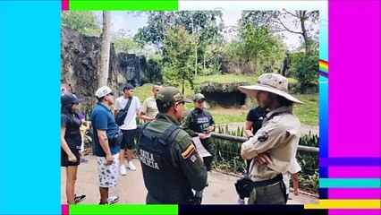 EL NOTICIERO DEL GAULA RISARALDA 20/04/25