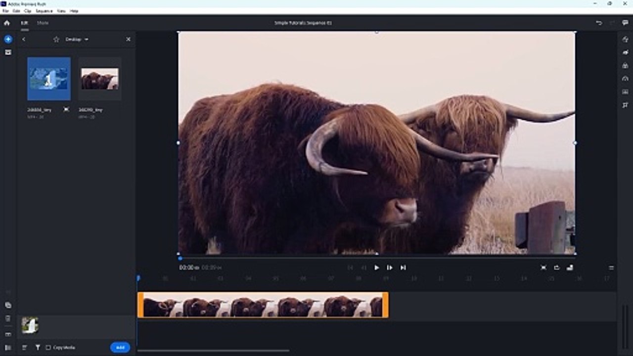 Adobe Premiere Rush 4 Rearrange and Resize Clips