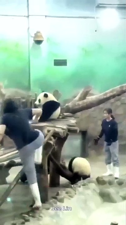 Panda-level avoidance maneuvers: bath time is an odyssey!