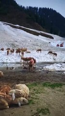 This is a beautiful speach of Islam