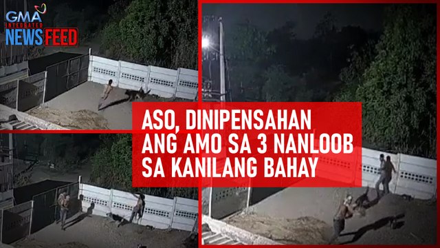 Aso, dinipensahan ang amo sa 3 nanloob sa kanilang bahay | GMA Integrated Newsfeed