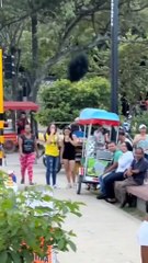 Funny comedy mam and other mans