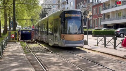 Brussels | Tramnetwerk / Réseau de Tramways | Belgique Bretagne Télé