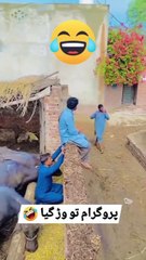 Try not to laughing Best funny moments 🤣