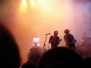 Girls in Hawaii - Grasshopers